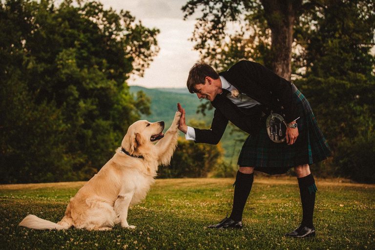 Cani al matrimonio