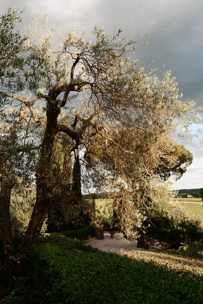 wedding at terre di nano tuscany