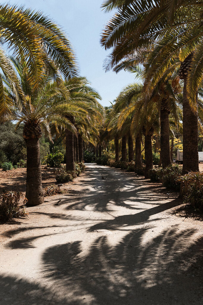 Wedding at Cortijo San Francisco Marbella