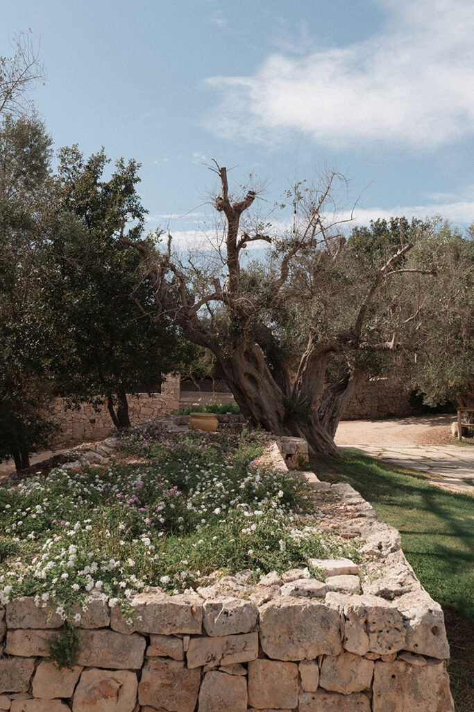 wedding in apulia