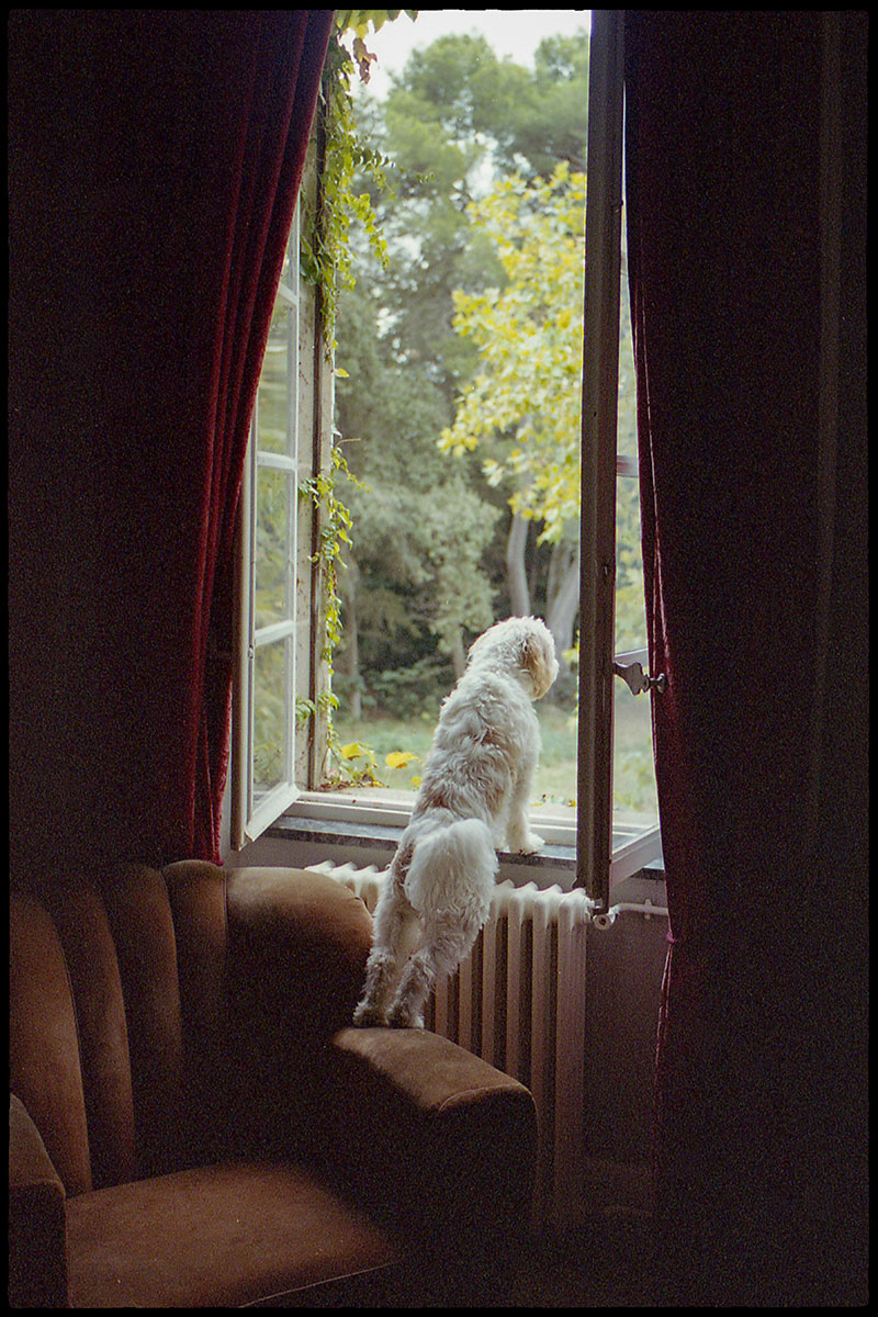 Film Photography